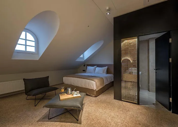 Artagonist Art Hotel Vilnius