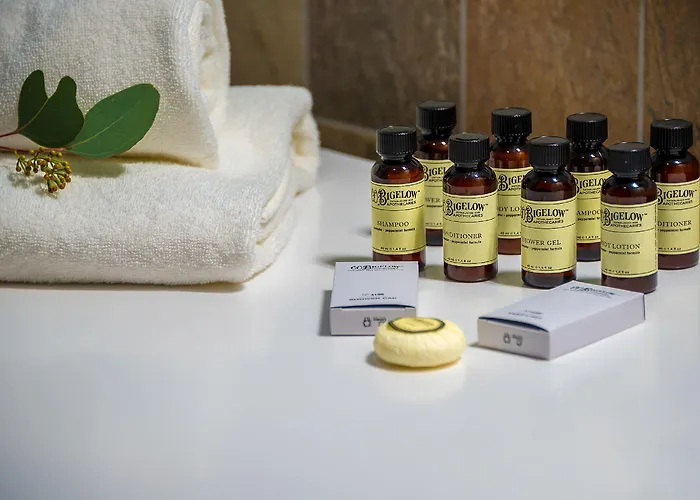 Artagonist Art Hotel Vilnius