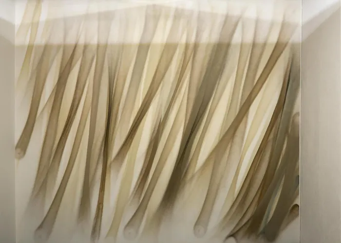 Artagonist Art فندق 4*